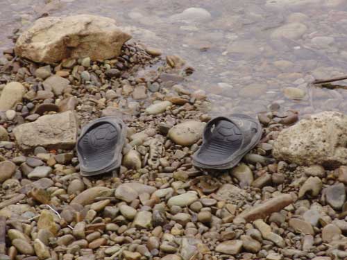 Івано-Франківськ святкує Водохреща